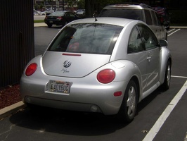 LADYBUG
