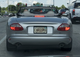 309-4229-CARISMA
