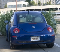 310-7631-KAYBUG